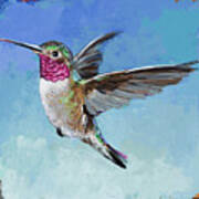 Hummingbird #6 Poster