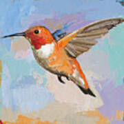 Hummingbird #7 Poster
