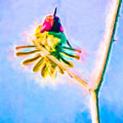Hummingbird Art - Energy Glow Poster