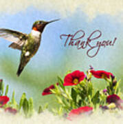 Hummingbird Frolic With Flowers Thank You Card Poster