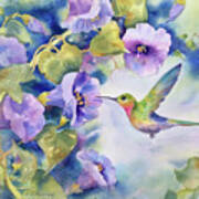 Hummingbird Poster