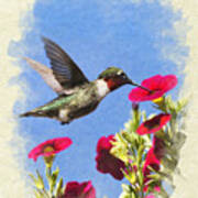 Hummingbird Garden Blank Note Card Poster
