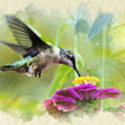 Invitation Note Card Hummingbird Poster