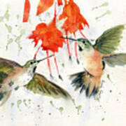 Hummingbird Watercolor Poster