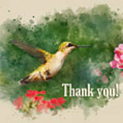 Hummingbird Thank You Card Poster
