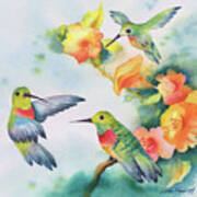 Hummingbirds With Orange Flowers Poster