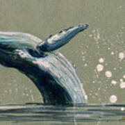 Humpback Whale Swimming Poster