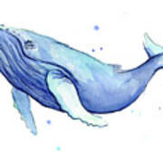 Humpback Whale Watercolor Poster