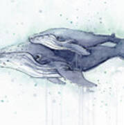 Humpback Whales Painting Watercolor - Grayish Version Poster