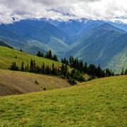 Hurricane Ridge Green Fields And Blue Mountains Poster