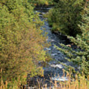 Hyalite Creek Overlook Poster