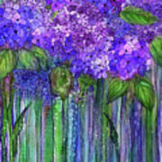 Hydrangea Bloomies 1 - Purple Poster