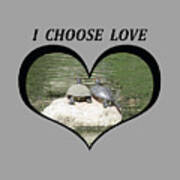 I Chose Love With Two Turtles Snuggling Poster