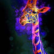 I Dreamt A Giraffe Poster