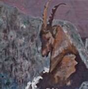 Ibex On The Ledge Poster