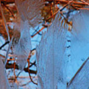 Ice On Pond Branches And Leaves Poster