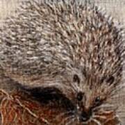 Igel Im Herbst   Hedgehog In Autumn Poster