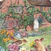 Illustrated English Cottage With Bunny And Bird Poster