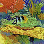 In The Coral Garden 10 Poster