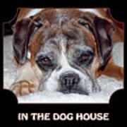 In The Dog House - Black Poster