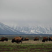 In The Tetons Poster