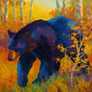 In To Spring - Black Bear Poster