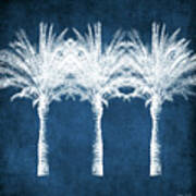 Indigo And White Palm Trees- Art By Linda Woods Poster
