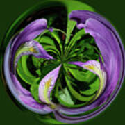 Iris Swirl Poster