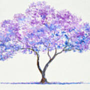 Jacaranda Tree Painting Poster