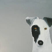 Jack Russell Poster