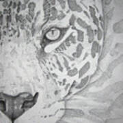 Jaguar Pointillism Poster