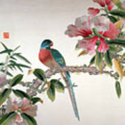 Jay On A Flowering Branch Poster
