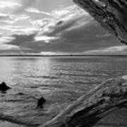 Jekyll Driftwood At Sunset In Black And White Poster