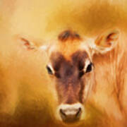 Jersey Cow Farm Art Poster