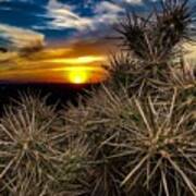 Jt National Park Sunset Poster