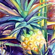 Kauai Pineapple 4 Poster
