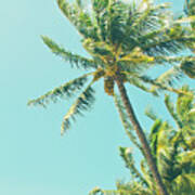 Kenolio Beach Hawaiian Coconut Palm Trees Kihei Maui Hawaii Poster