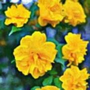 Kerria - Lemon Yellow  Smile Poster