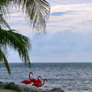 Key Largo Communal Dip Poster