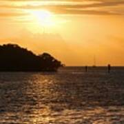 Key West Mangrove Sunrise Poster