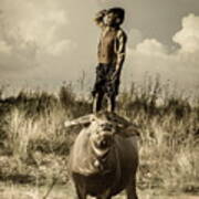 Kid And Cow Poster