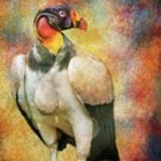 King Vulture Poster