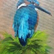 Kingfisher Bird Poster