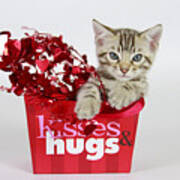 Kisses And Hugs Poster