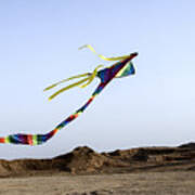 Kite Dancing In Desert 03 Poster