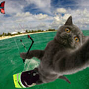 Kite Surfing Cat Selfie Poster