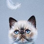 Kitten And Feather  #1 Poster