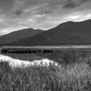 Kootenay Marshes In Black And White Poster