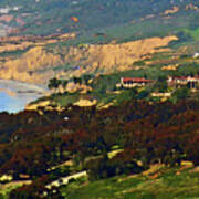 La Jolla Farms - Eucalyptus Grove Poster