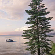 Lake Tahoe Pines Poster